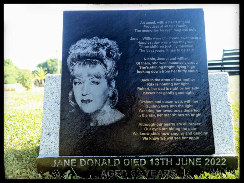 Artillery Sidewinder X3 Plus 3D Printer Review Specifications 